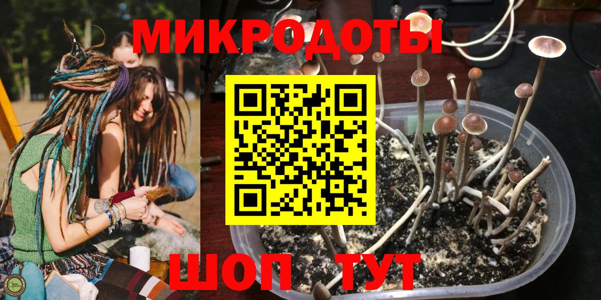 Зеленодольск  Псилоцибиновые грибы Psilocybe  Вход с VPN  Псилоцибиновые грибы Psilocybine cubensis 